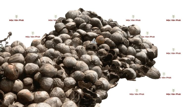 Nông nghiệp xanh là gì Tại sao lại là kim chỉ nam của Mộc Vân Phát