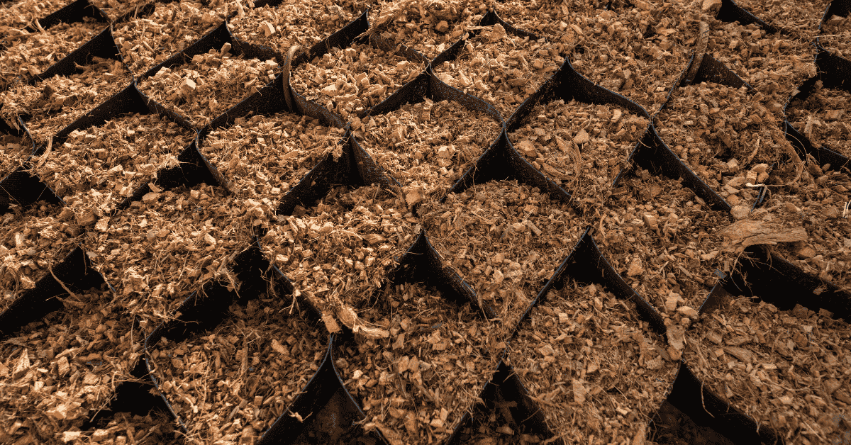 Nguyên liệu vàng dừa