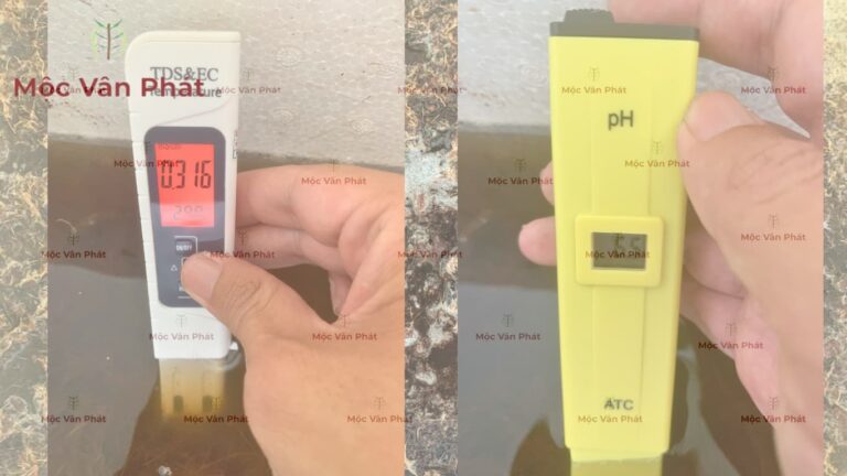 Chỉ số EC và pH của xơ dừa Ngày 03 Đạt Ngưỡng Ổn Định