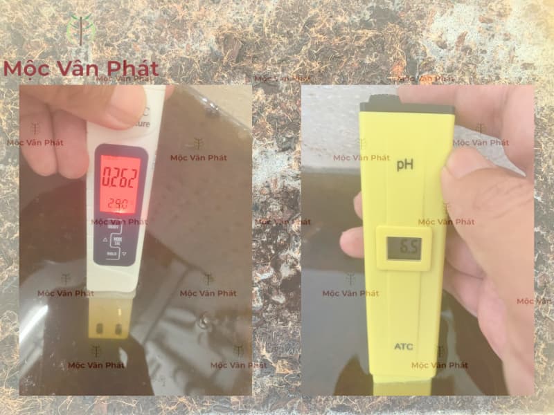 Chỉ số EC và pH của xơ dừa Ngày 03 ổn định và những phản ứng đầu tiên