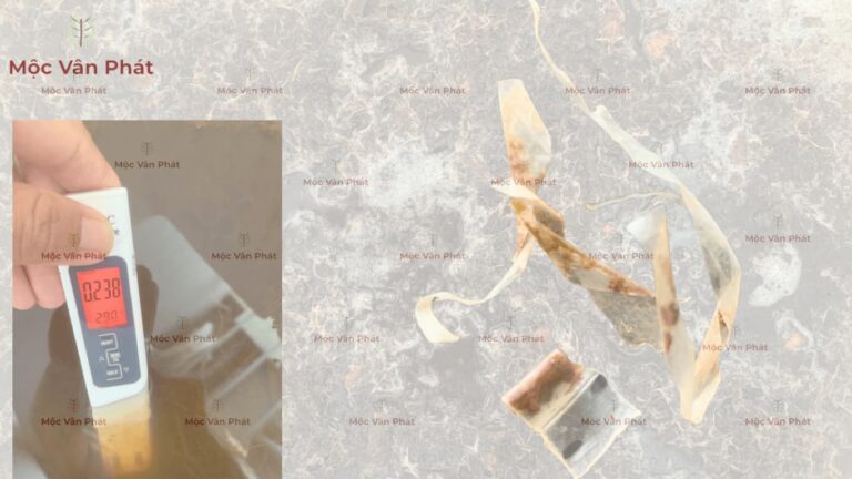 Ghi nhận sự thay đổi của giá thể khi thực hiện cách xả chát xơ dừa nhanh nhất