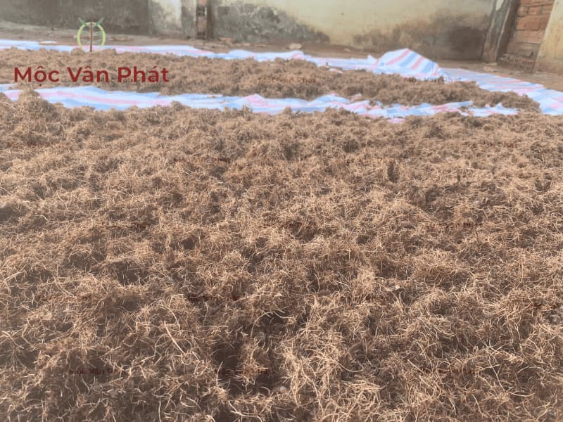 Mùn dừa đóng kiện Ngày 09 – Khi xơ gặp nắng và gió tự nhiên