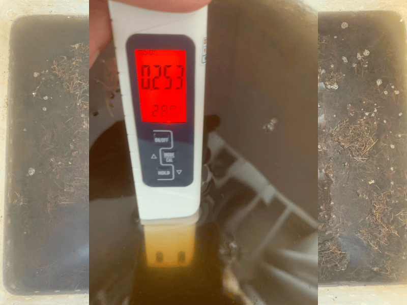 Ngay_04_quyet_tam_lam_sach