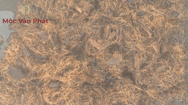 Phản ứng của sợi xơ khi đạt chuẩn giá thể xơ dừa sạch