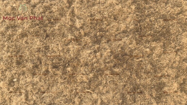 Quan sát thực tế Sự ổn định của giá thể trồng dâu tây sau biến cố thời tiết