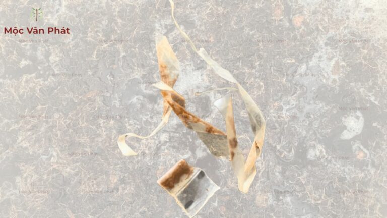 Sự thật về cách xả chát xơ dừa nhanh nhất hiện nay