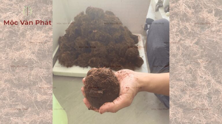 Tại sao giá thể xơ dừa của Mộc Vân Phát cần 7 ngày để chạm ngưỡng tĩnh