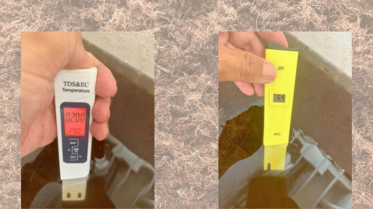 Tại sao xơ dừa đã xử lý của Mộc Vân Phát cần đến 8 ngày ngâm xả