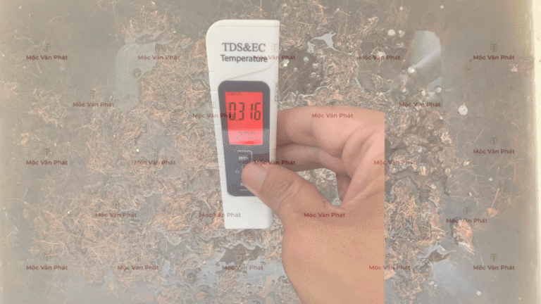 chi_so_Ec_sang_ngay_03_la_0.316mS/cm