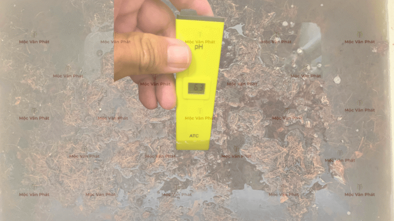 chi_so_pH_sang_ngay_03_la_6.3