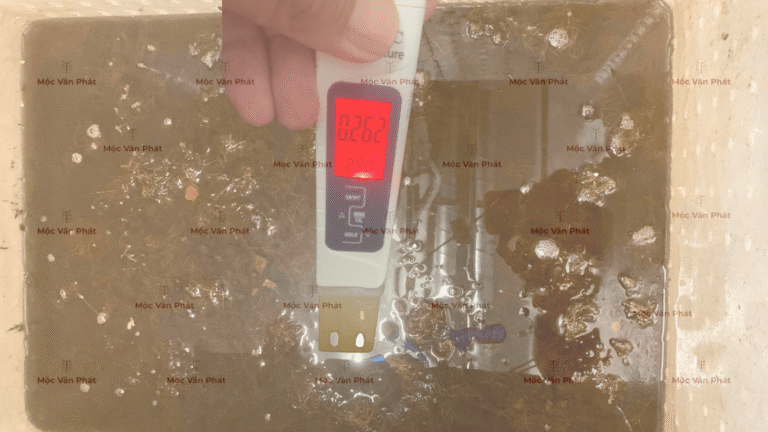 chi_so_Ec_toi_ngay_03_la_0.262mS/cm