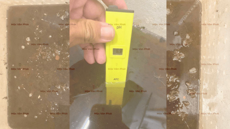 chi_so_pH_toi_ngay_03_la_6.3