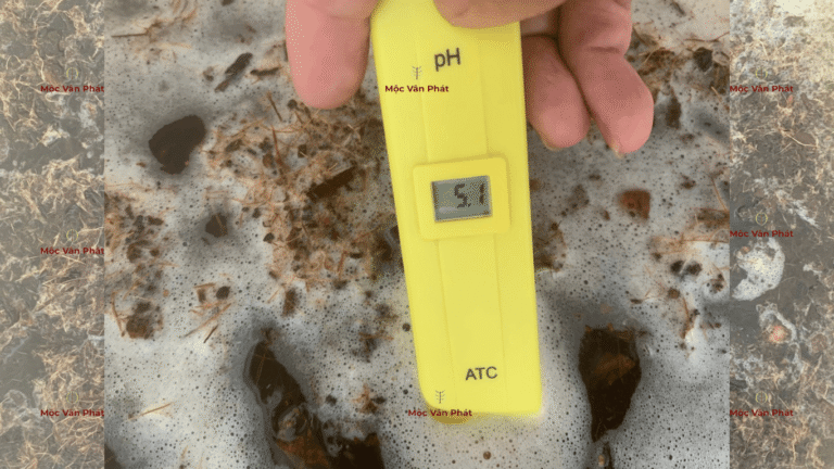 chi_so_pH_sang_ngay_01_la_5.1