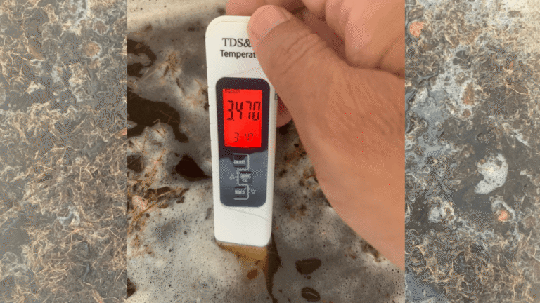 chi_so_Ec_sang_ngay_01_la_3.470mS/cm