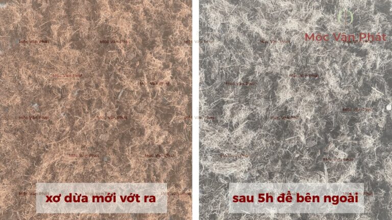 Xơ dừa đã xử lý Bước chuyển mình từ phế phẩm sang vật liệu có ích (1)