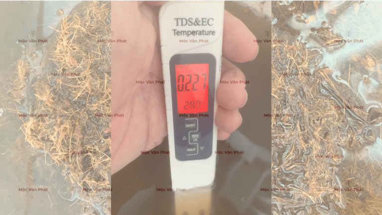 chi_so_Ec_sang_ngay_06