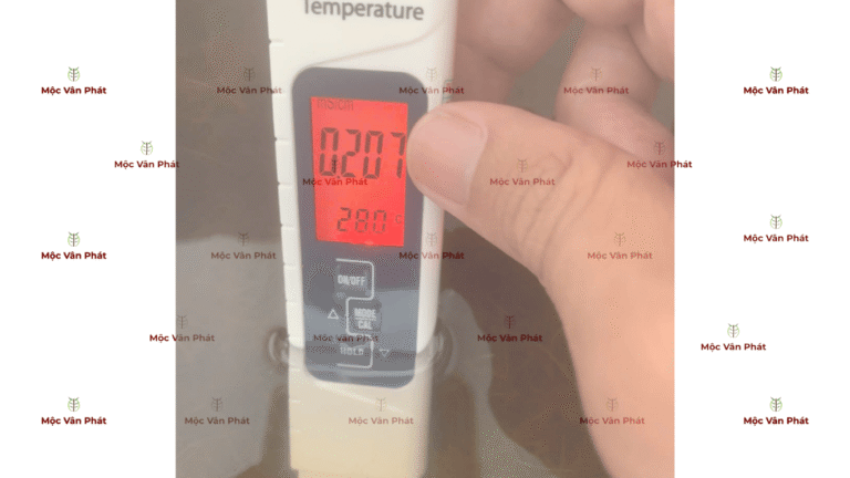 chi_so_Ec_sang_ngay_07