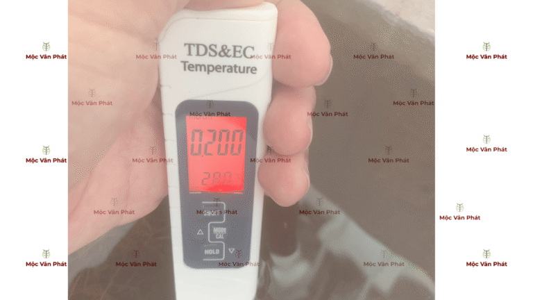 chi_so_Ec_sang_ngay_08