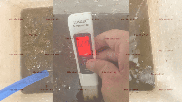 chi_so_Ec_toi_ngay_04