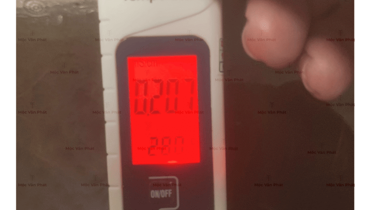 chi_so_Ec_toi_ngay_07