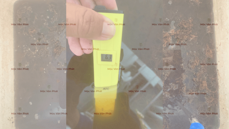 chi_so_pH_sang_ngay_05