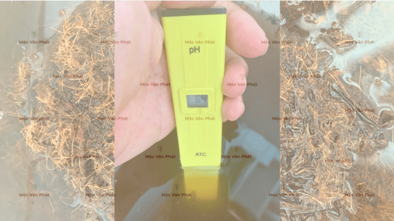 chi_so_pH_sang_ngay_06