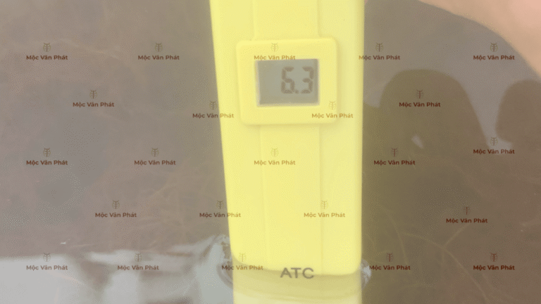 chi_so_pH_sang_ngay_07