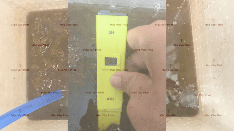 chi_so_pH_toi_ngay_04