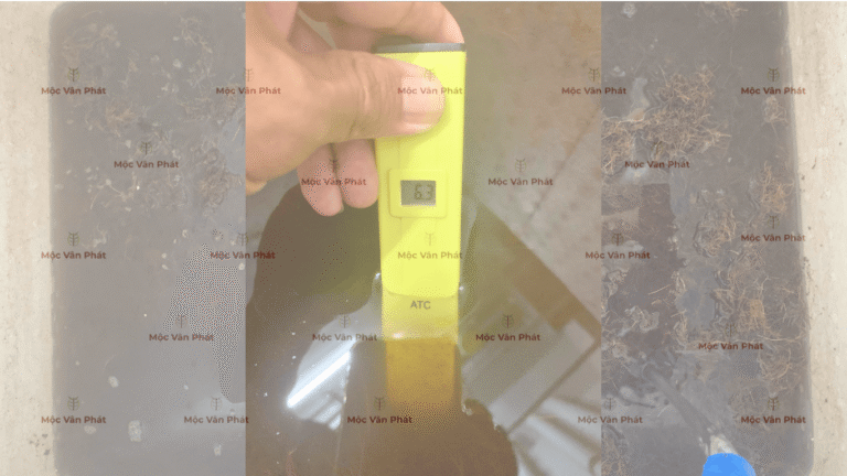 chi_so_pH_toi_ngay_05