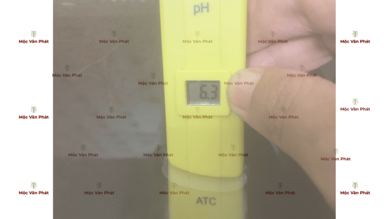 chi_so_pH_toi_ngay_ 07