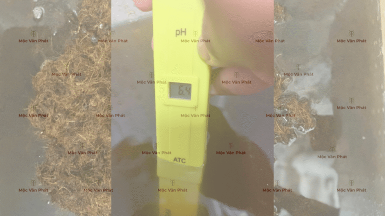 chi_so_pH_toi_ngay_06