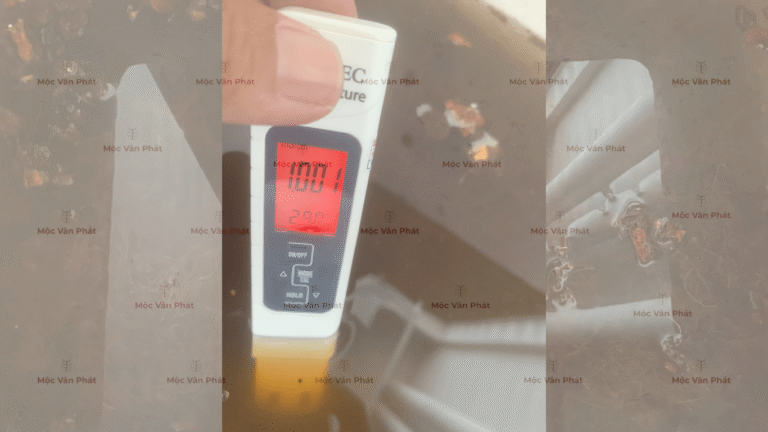 chi_so_Ec_sang_ngay_02_la_1.001mS/cm