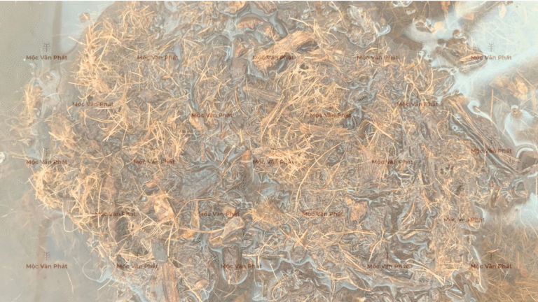 mau_sac_xo_dua_sang_ngay_06