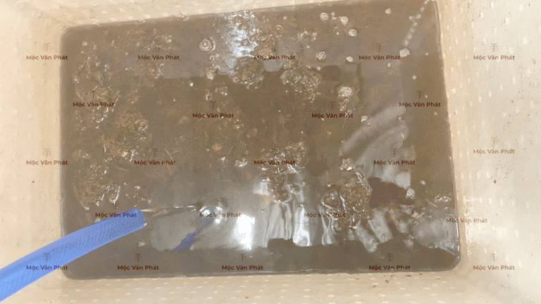 mau_sac_xo_dua_toi_ngay_04