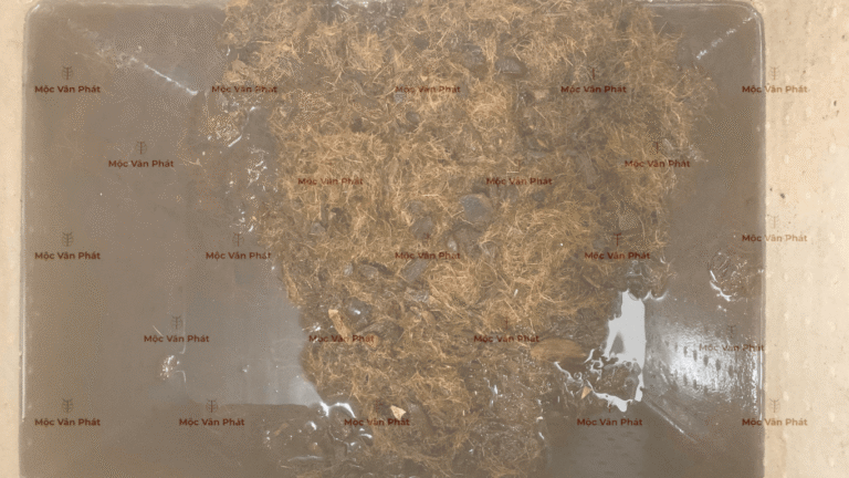 mau_sac_xo_dua_toi_ngay_07