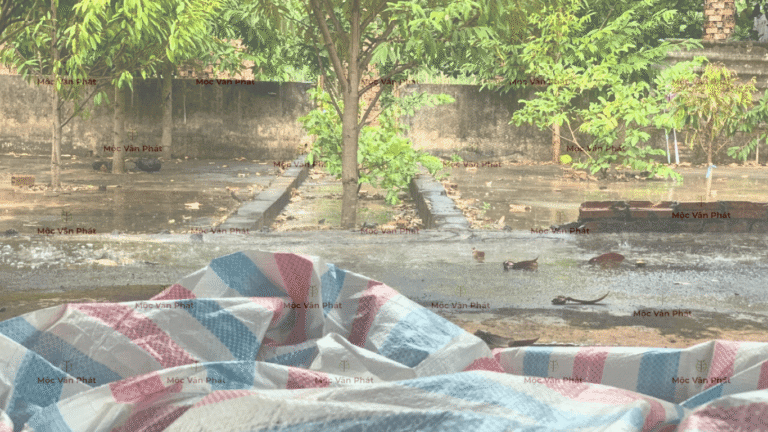 một_buổi_chiều_công_cốc