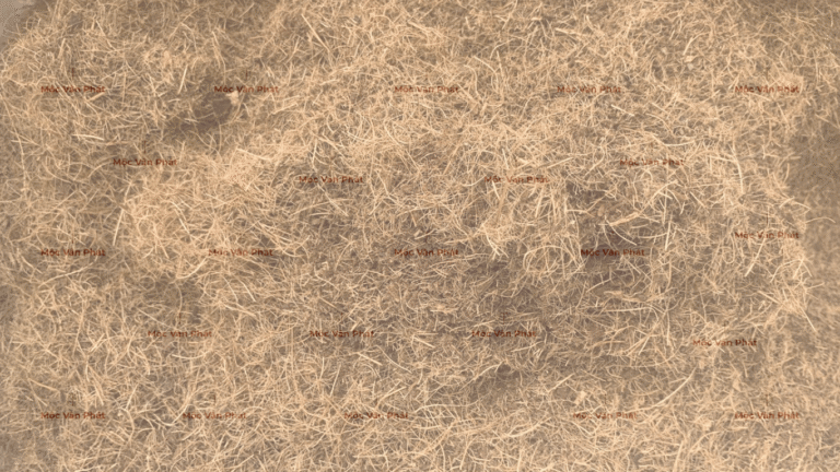 mụn_xo_dua_sau_khi_sang (1)