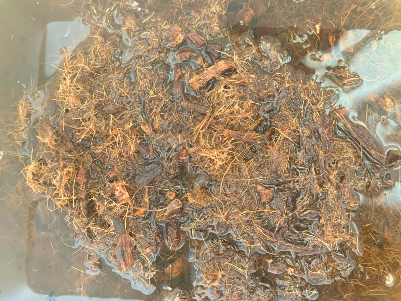 ngay_06_mau_cua_su_kien_nhan