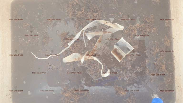 nhung_manh_vun_nhua_trong_thung_chua_ngay_05