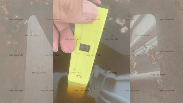 chi_so_pH_sang_ngay_02_la_5.7