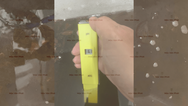 chi_so_pH_toi_ngay_02_là_6.1