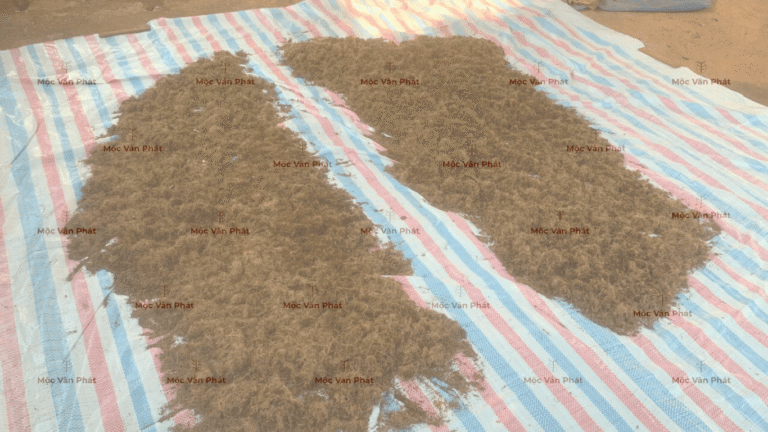 sang_nay_tiep_tục_phơi_xơ