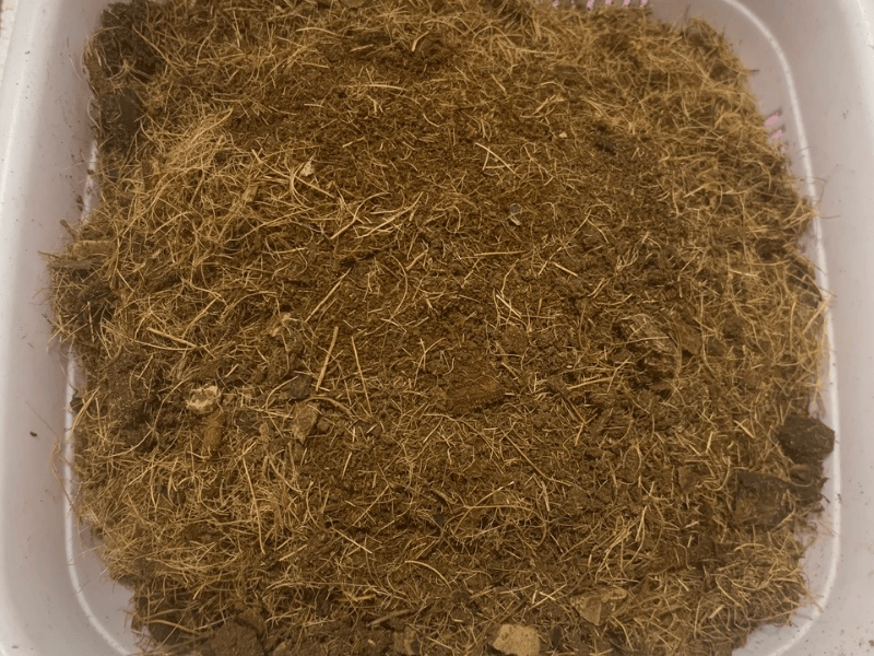 tap_12_nhat_vun_va_sang_xo