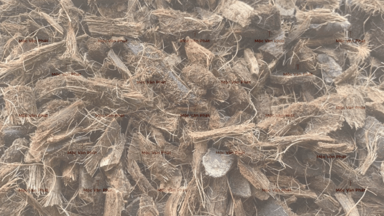 tiep_tục_nhat_vụn_dua