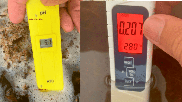 Đo_chỉ_số_pH_&_Ec_khi_xử_lý_xơ_dừa