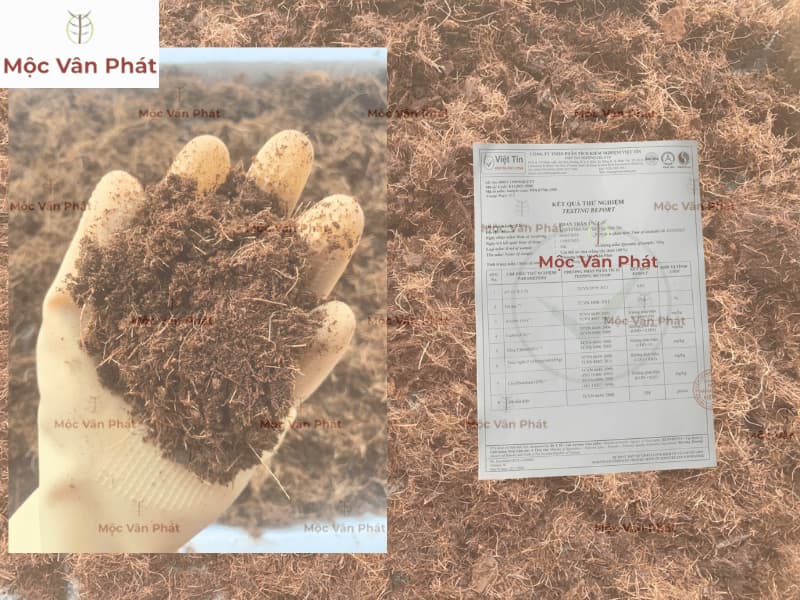 Giá giá thể xơ dừa Ngày 15 – Minh bạch kết quả kiểm nghiệm từ Phòng Lab