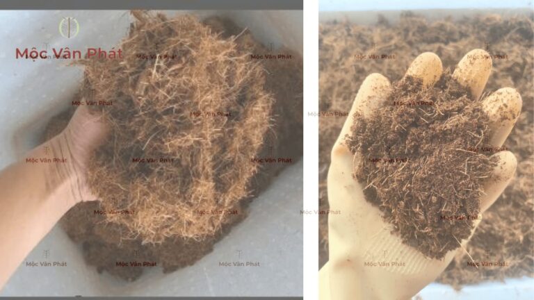 Hành trình xử lý xơ dừa sạch chuẩn Lab Từ thực nghiệm đến quy chuẩn đặt hàng