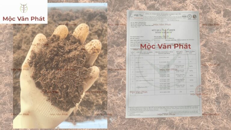 Kết quả kiểm nghiệm chỉ số EC và pH của giá thể xơ dừa Mộc Vân Phát tại Viện Việt Tín