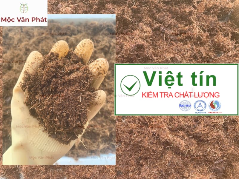 Kiểm định chất lượng xơ dừa Ngày 14 – Bước chuyển từ thủ công sang khoa học