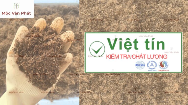 Tại sao Mộc Vân Phát quyết định kiểm định chất lượng xơ dừa tại Viện Việt Tín